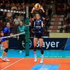 Bayer Volleys vs TV Dingolfing_4611