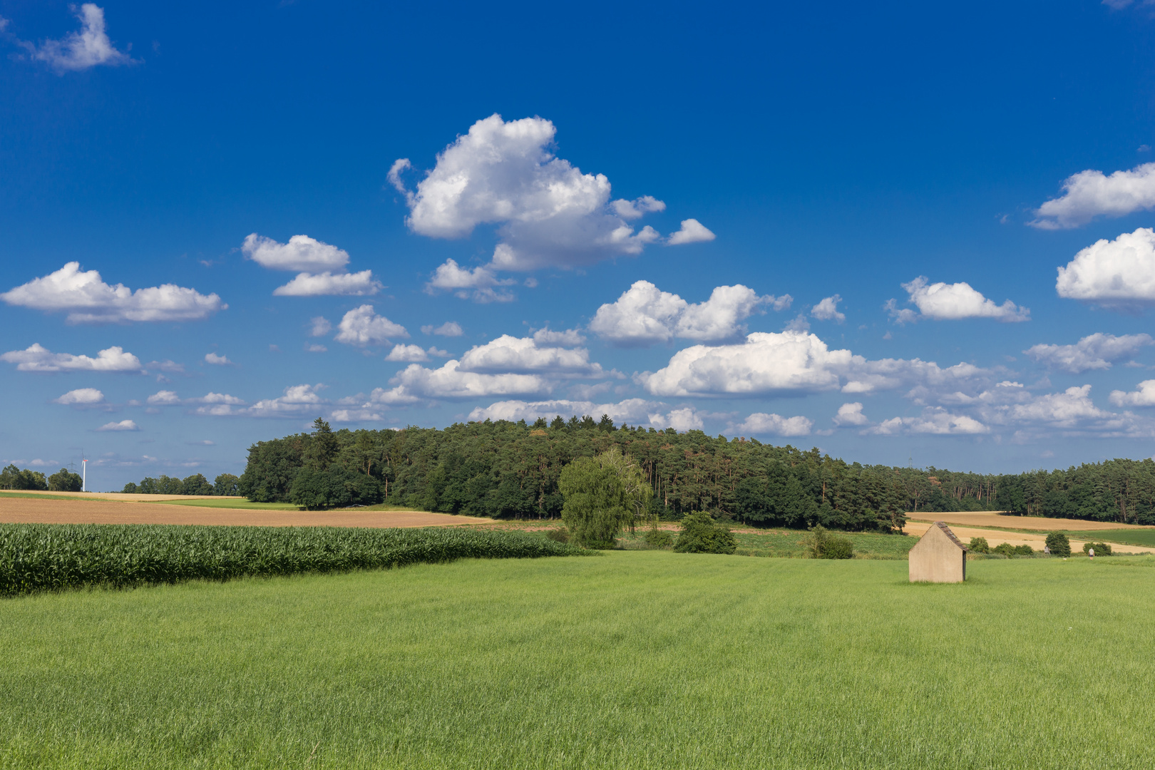 Bayerisch blau-weiß