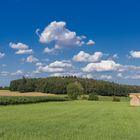 Bayerisch blau-weiß