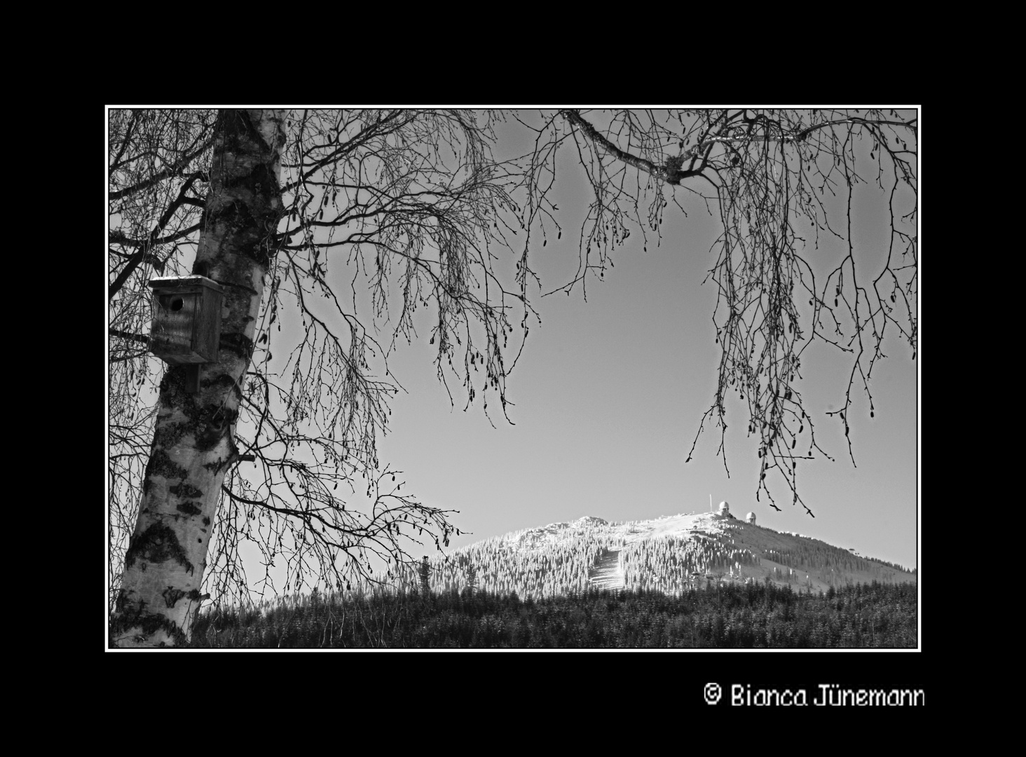 Bayerisch Eisenstein - Blick auf den verschneiten Großen Arber