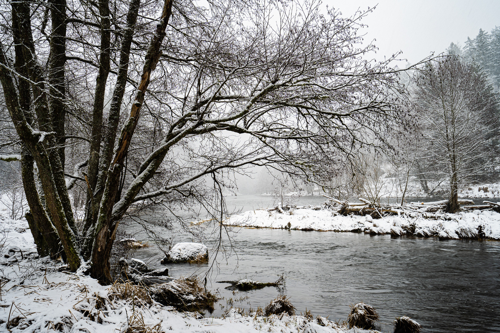 Bayerisch Kanada im Winter