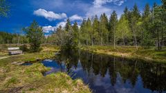 Bayerisch Lappland