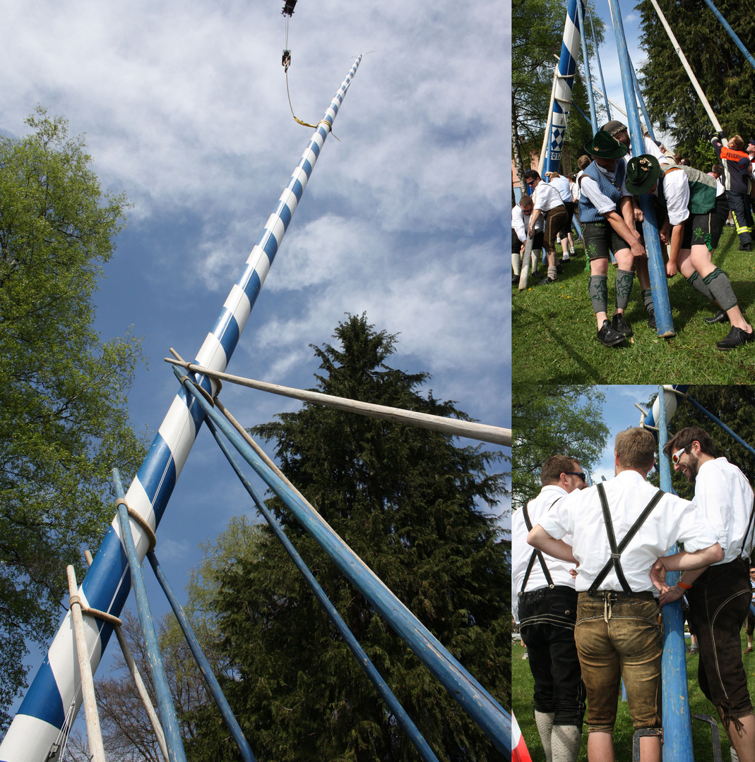 Bayerische Burschen stellen einen Maibaum auf