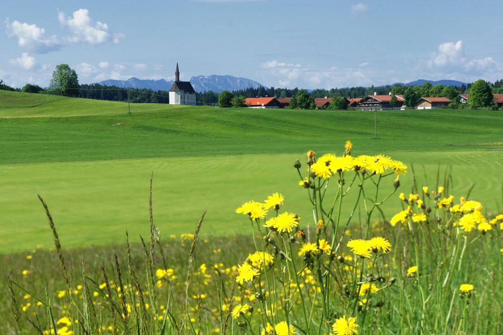 Bayerische Idylle