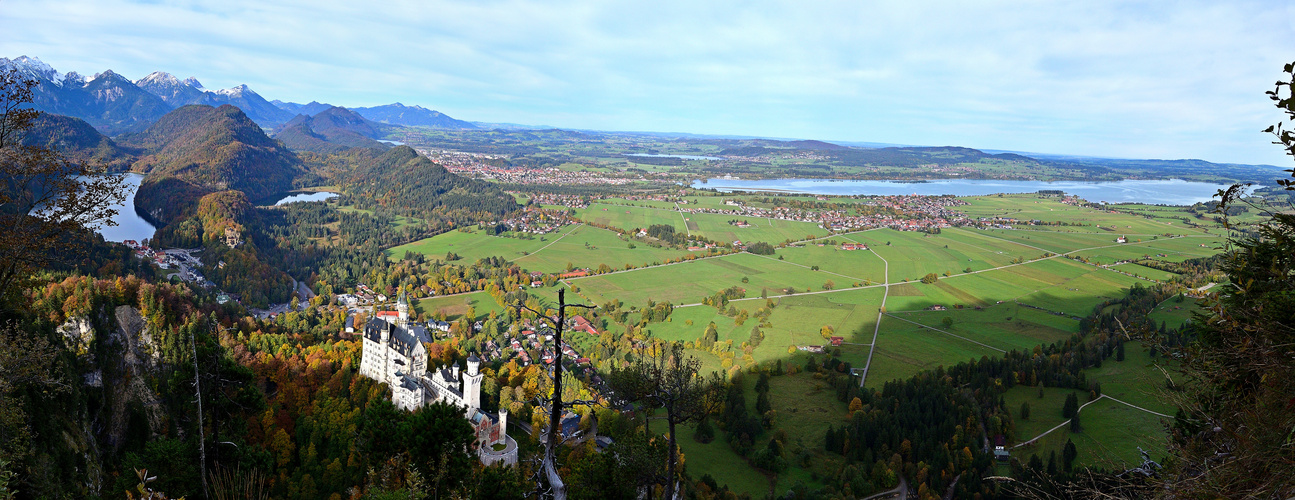 Bayerische Königshäuser