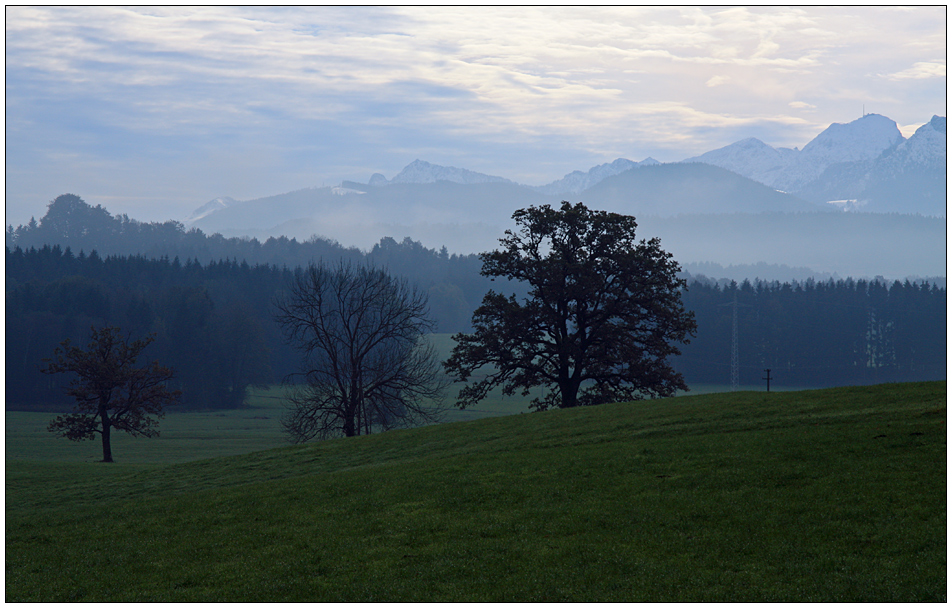 Bayerische Landschaft im Frühnebel 2