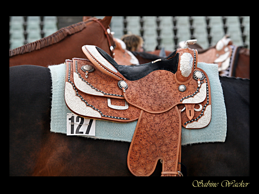 Bayerische Meisterschaften 2013 - Outfit Westernsattel