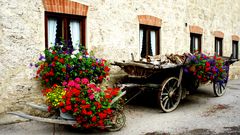 Bayerische Sommerfreuden