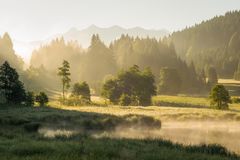 Bayerische Sommeridylle