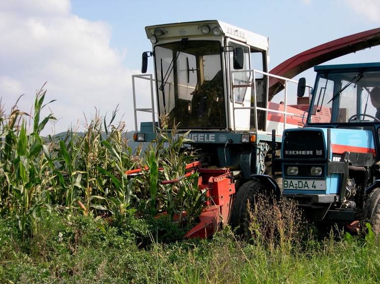 Bayerische Spitzentechnologie, jedoch Saatgut aus Niedersachsen