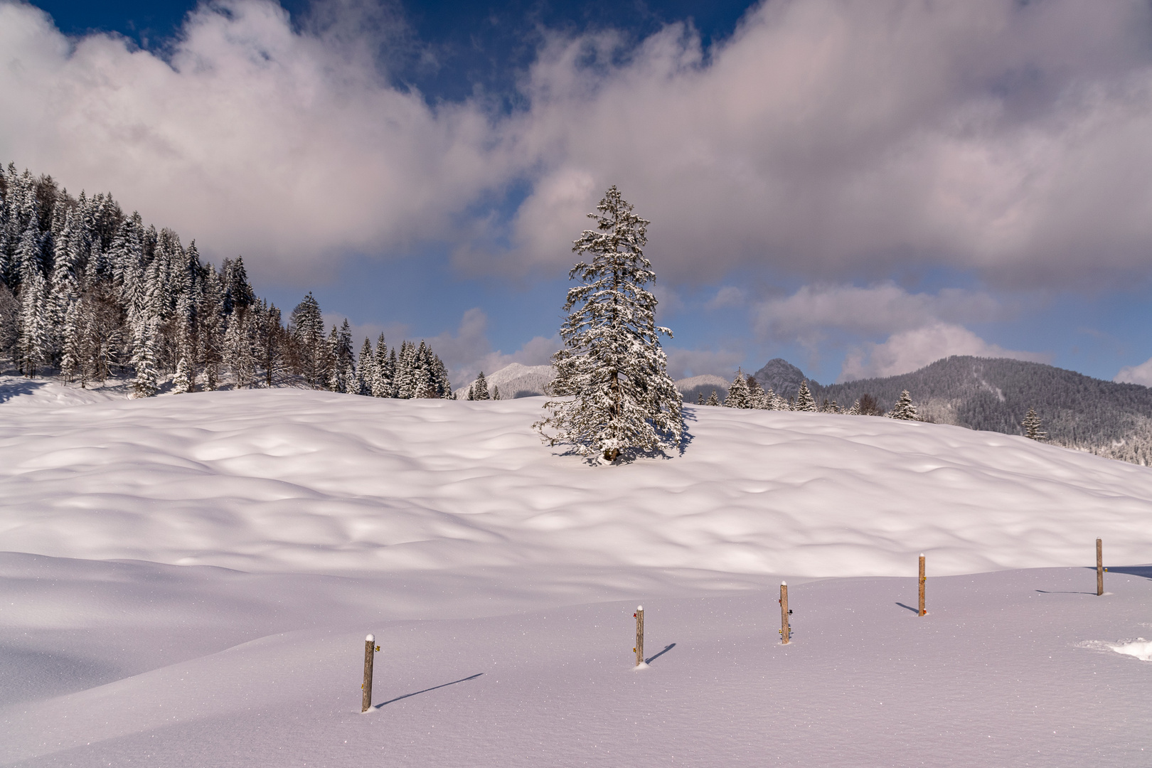 Bayerische Voralpen