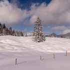 Bayerische Voralpen