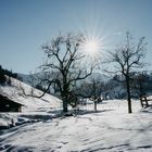 Bayerische Winterlandschaft