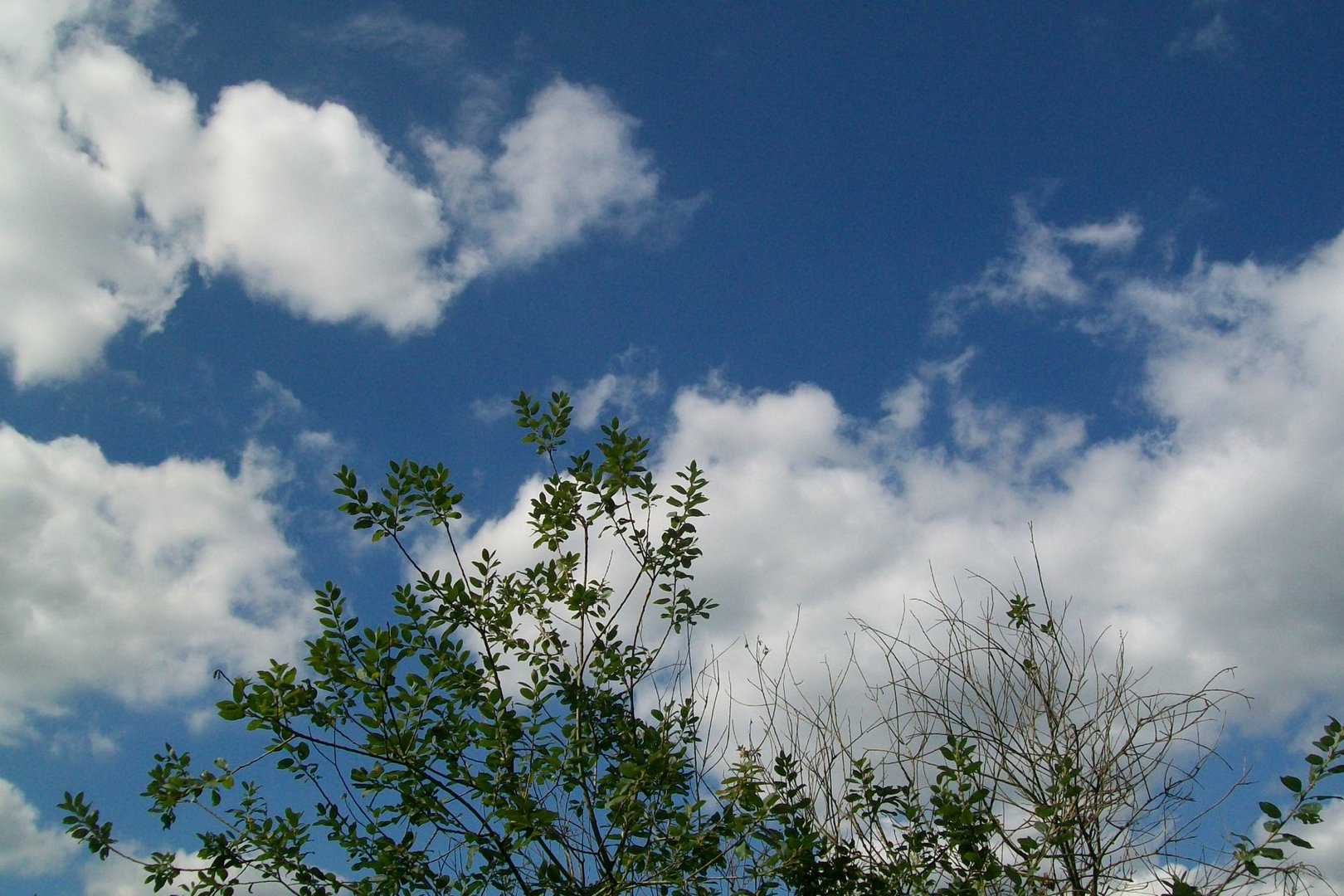 Bayerische Wolken