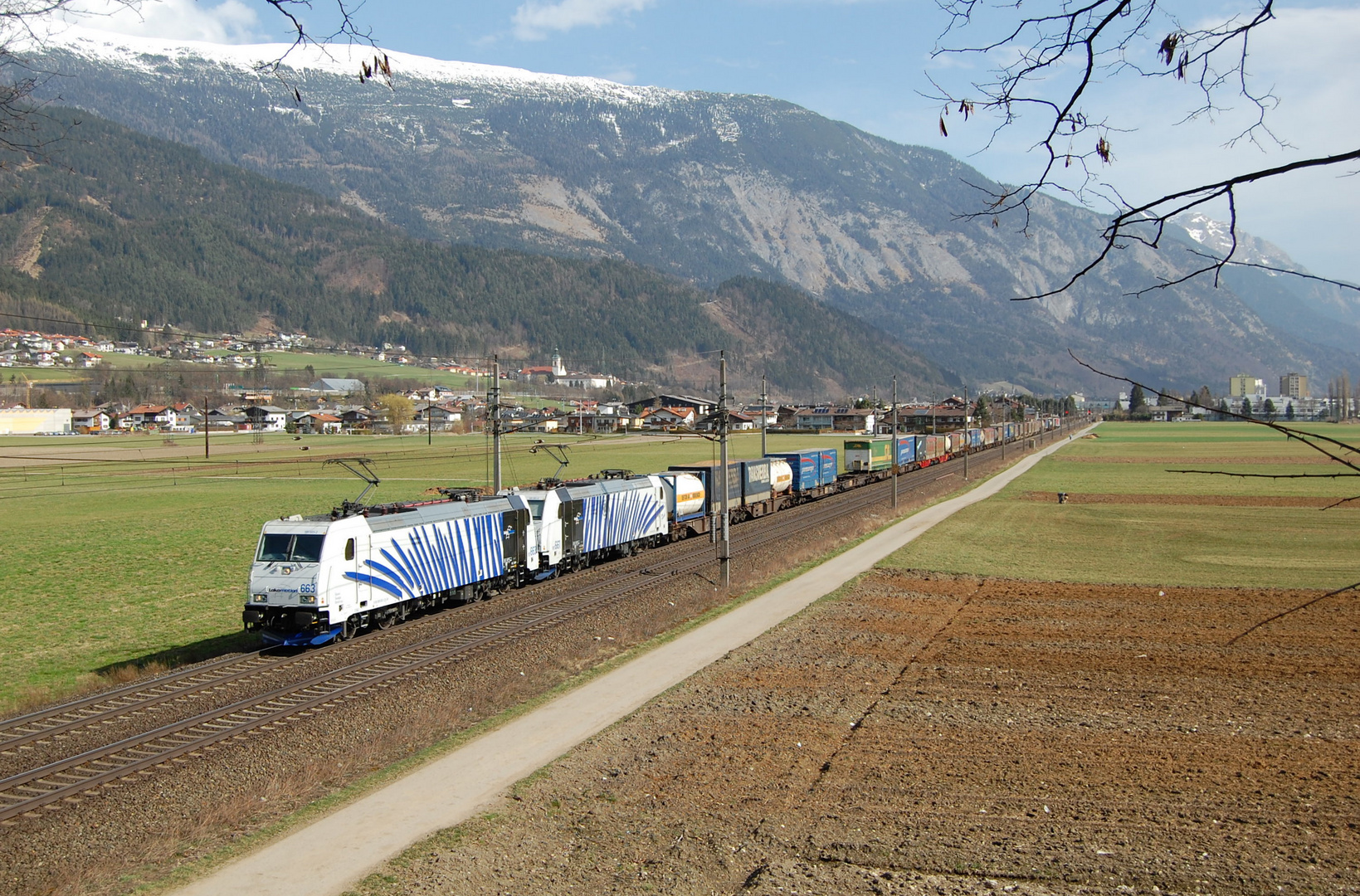 Bayerische Zebras in Österreich