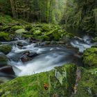 Bayerischer Canyon