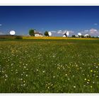 bayerischer Frühling