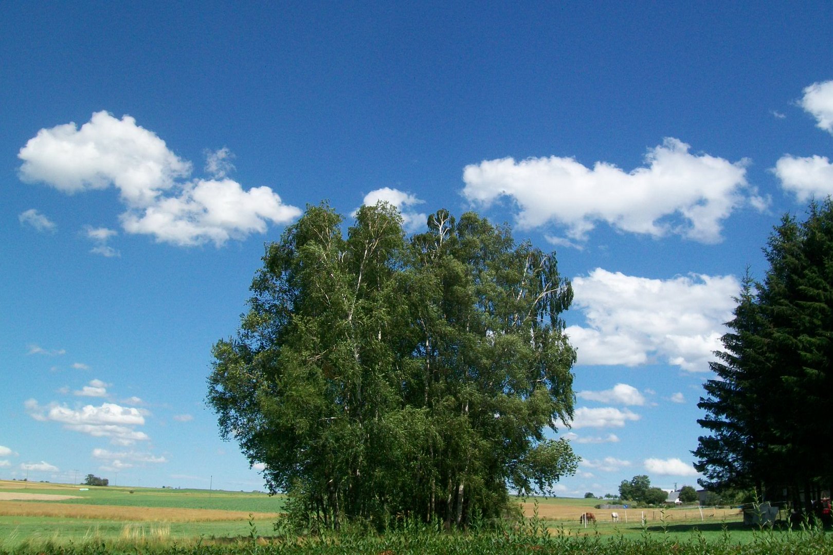 Bayerischer Himmel