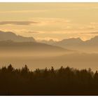 Bayerischer Rigi