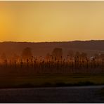 Bayerischer Sonnenuntergang