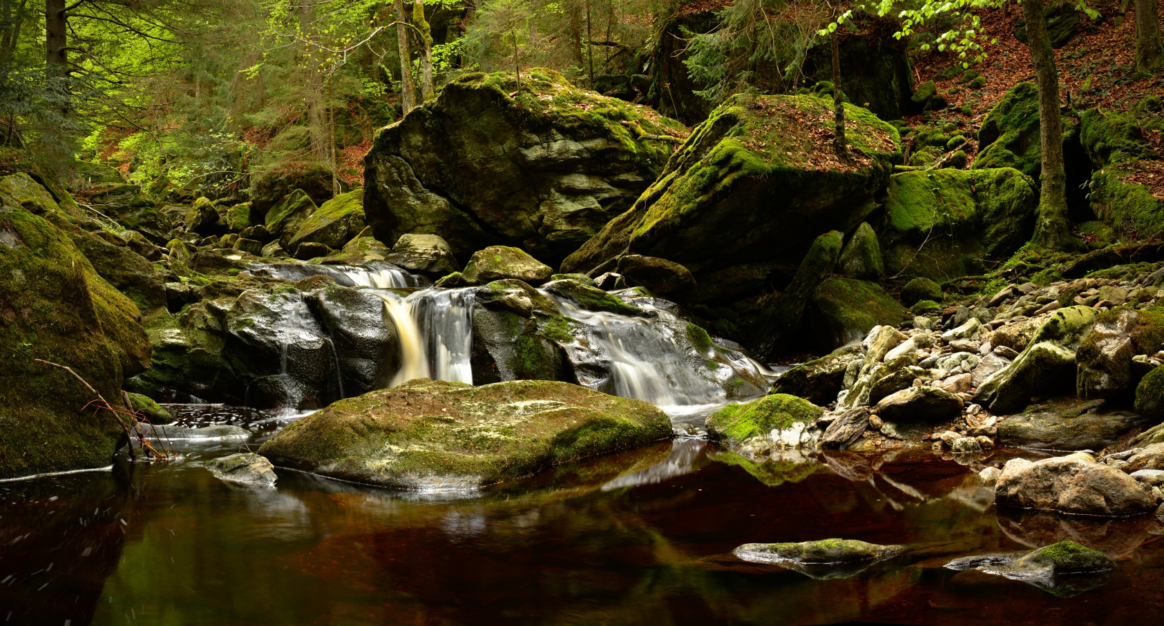 Bayerischer Urwald