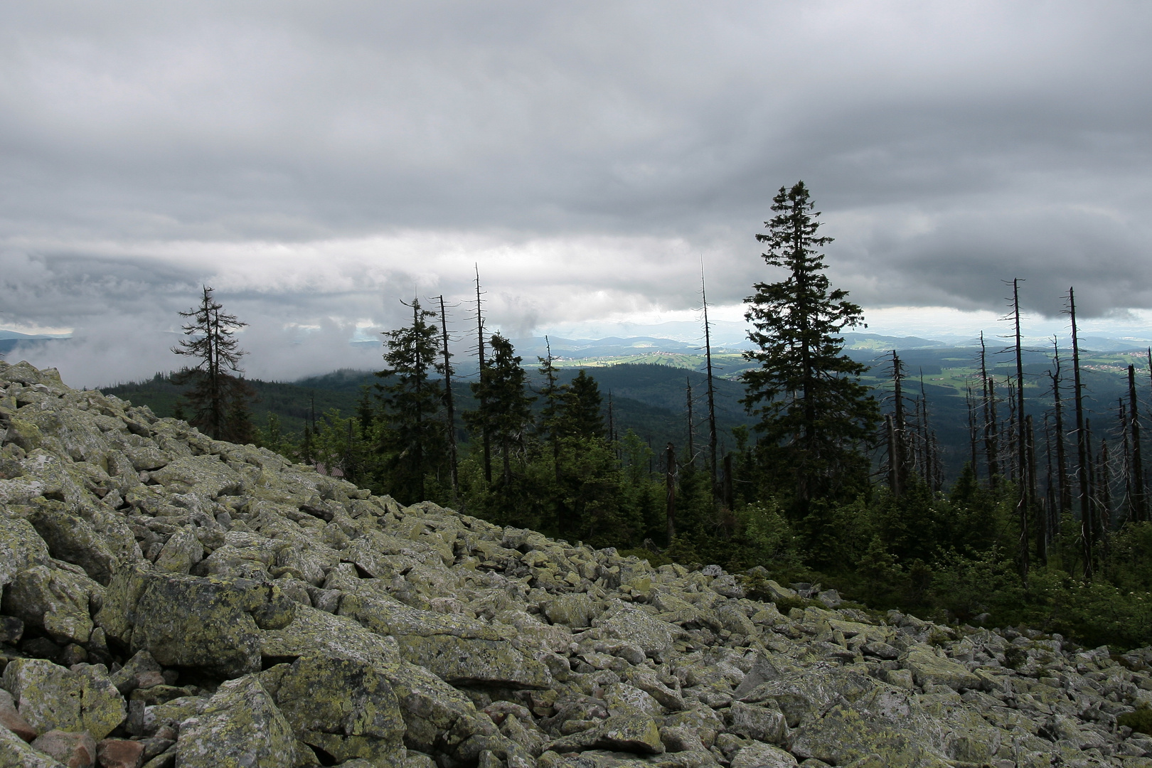 Bayerischer Wald