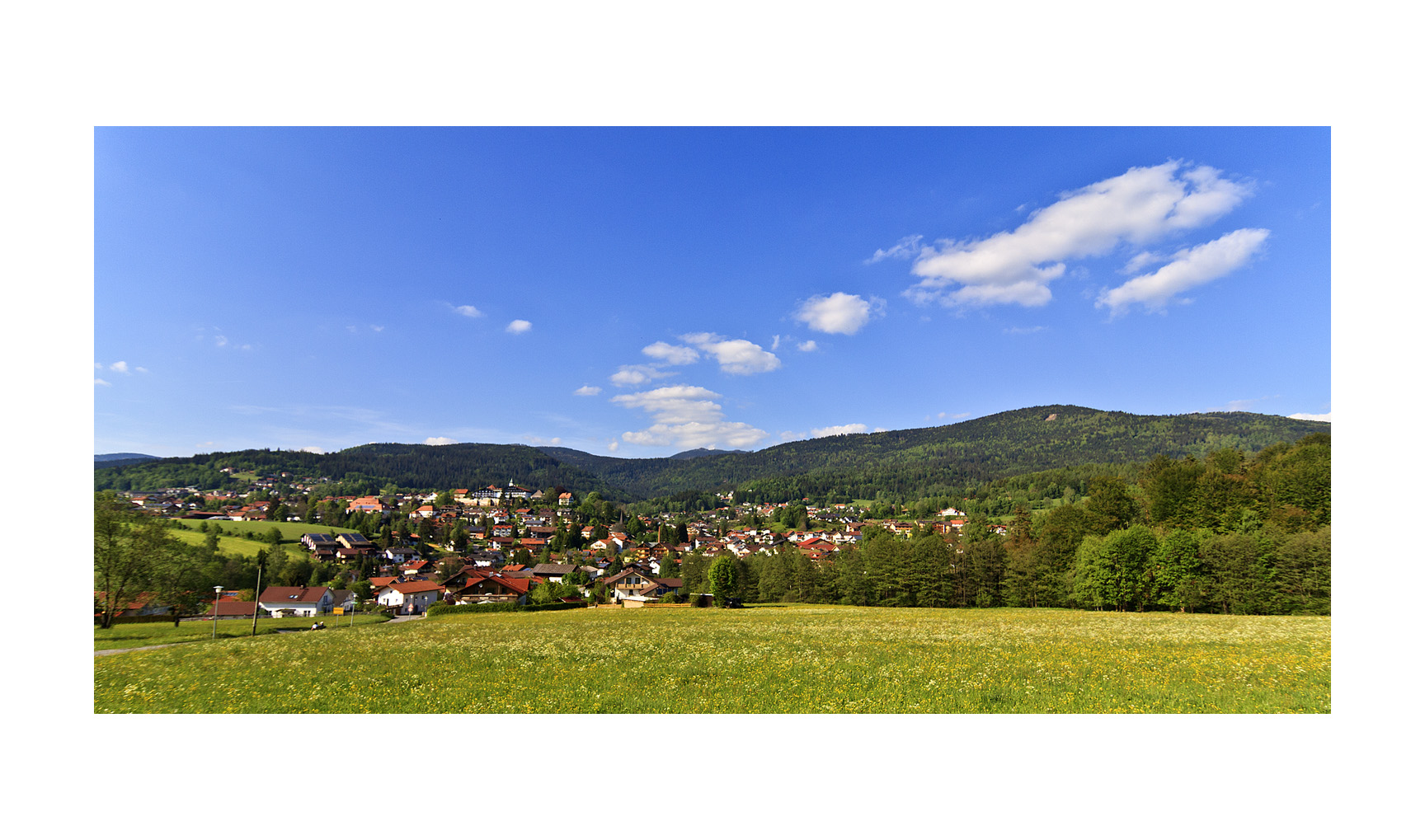 Bayerischer Wald