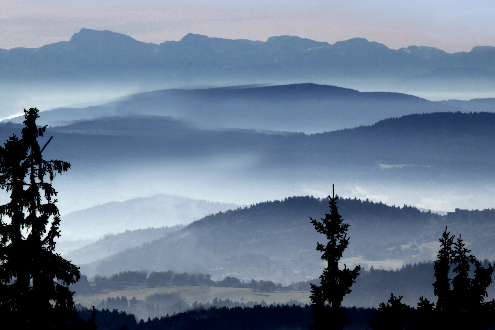 Bayerischer Wald