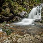 Bayerischer Wald