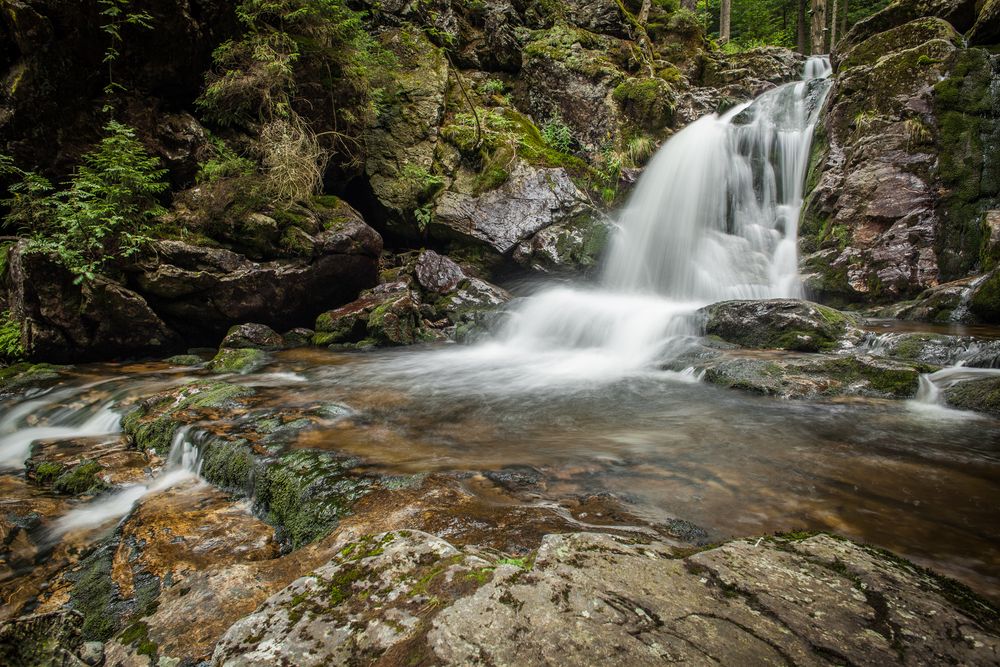 Bayerischer Wald