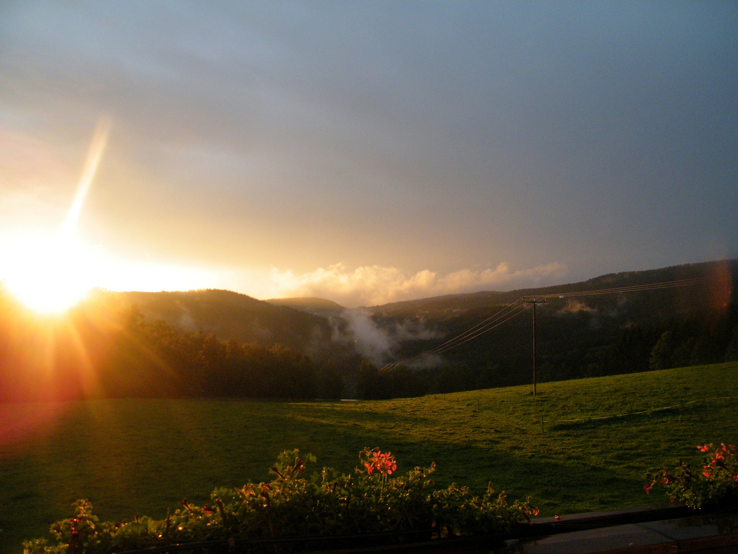 Bayerischer Wald