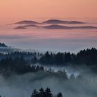 Bayerischer Wald