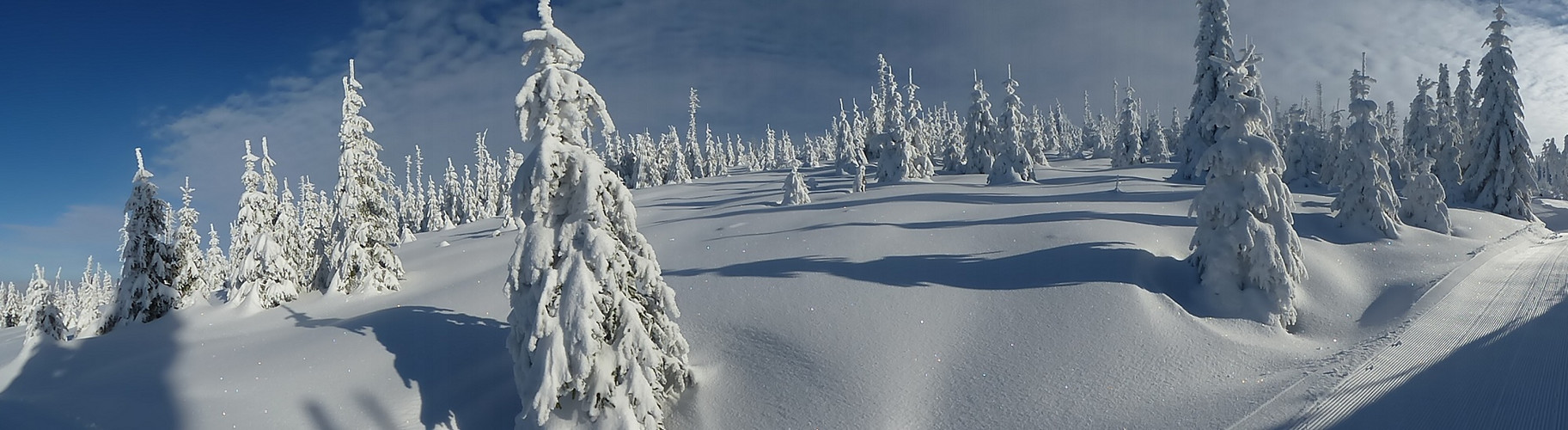 Bayerischer Wald