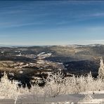 Bayerischer Wald