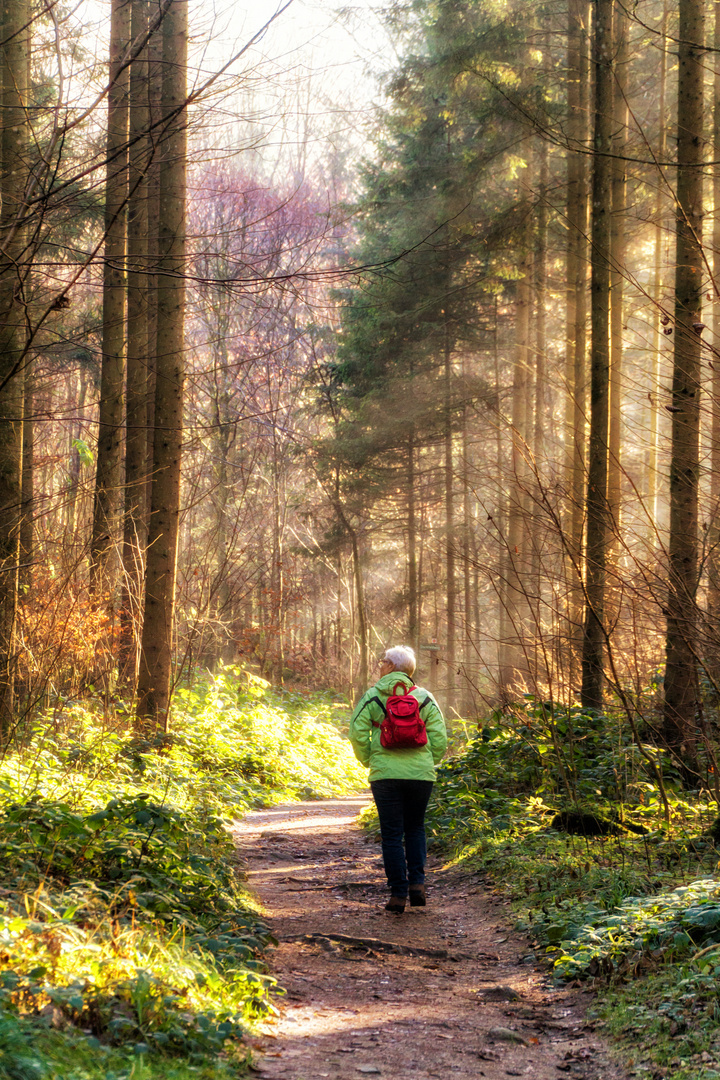 Bayerischer Wald