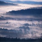 Bayerischer Wald