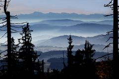 Bayerischer Wald