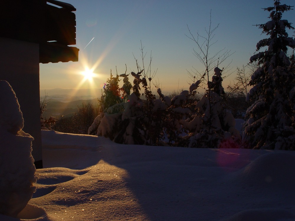 Bayerischer Wald