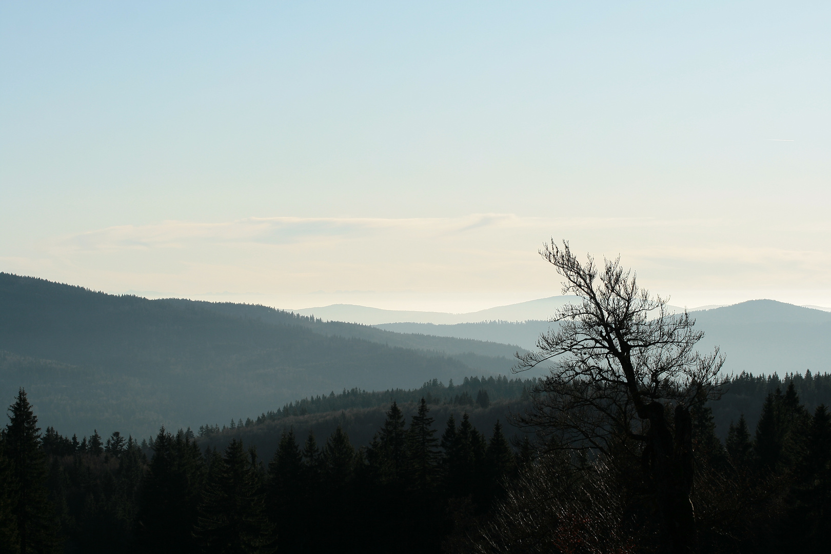 Bayerischer Wald