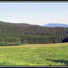 Bayerischer Wald am Morgen