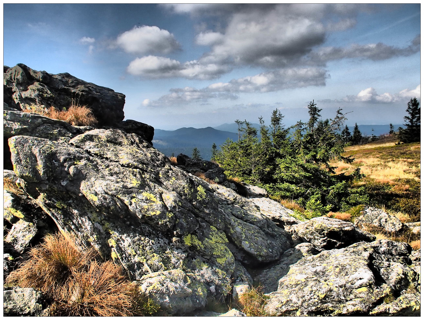 Bayerischer Wald