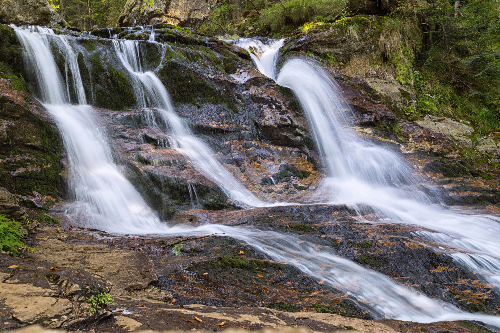 Bayerischer Wald