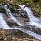 Bayerischer Wald