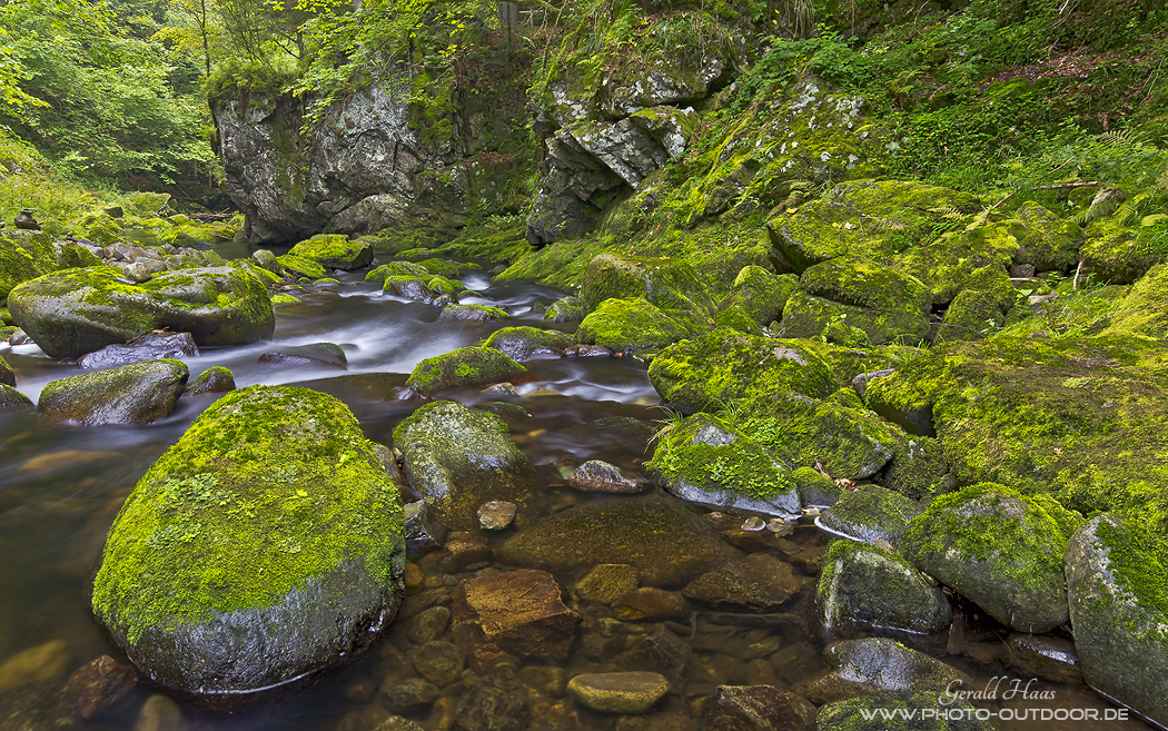 Bayerischer Wald