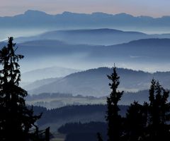 Bayerischer Wald