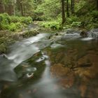 Bayerischer Wald