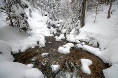 Bayerischer Wald