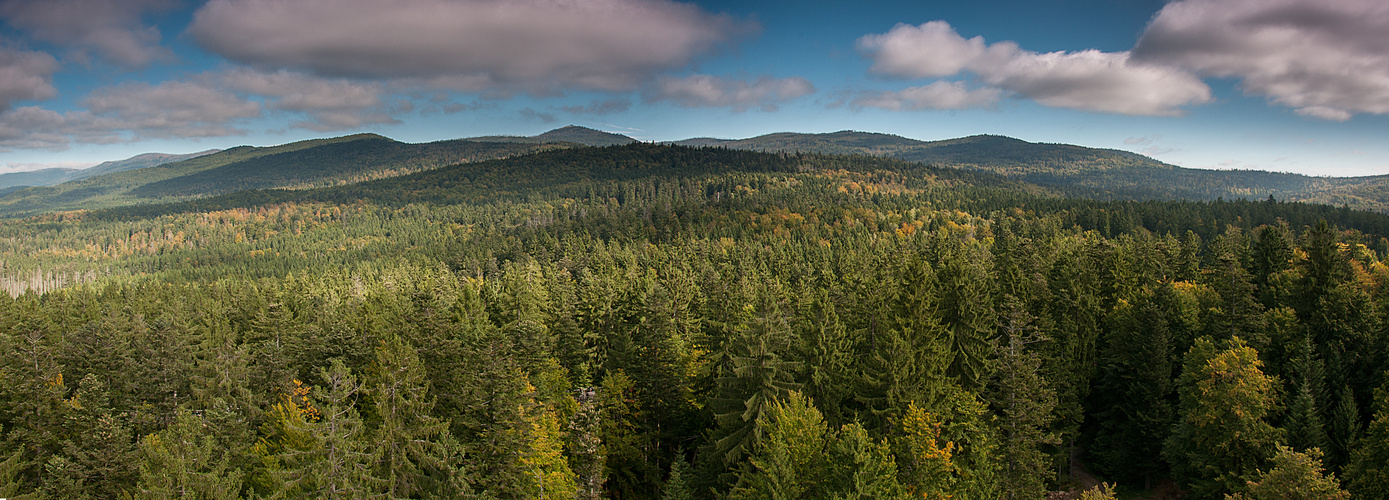 bayerischer wald