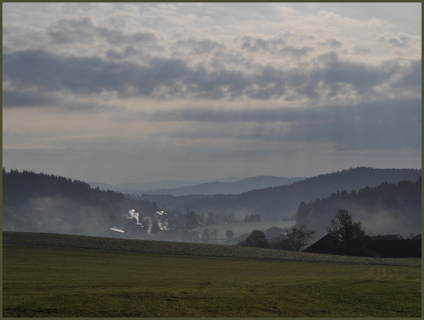 Bayerischer Wald früh morgens.