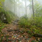 Bayerischer Wald im Herbst